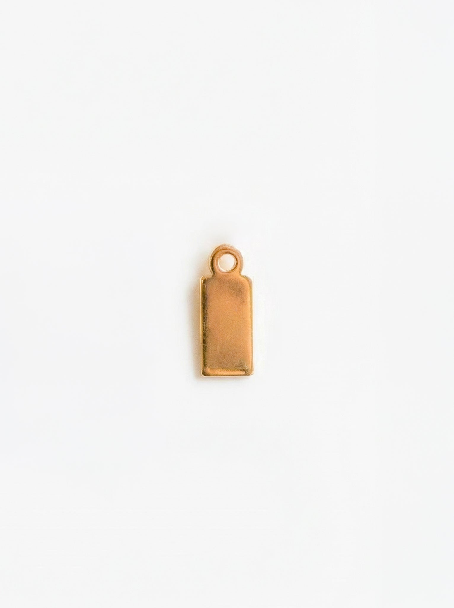 Mini Dog Tag Add-On