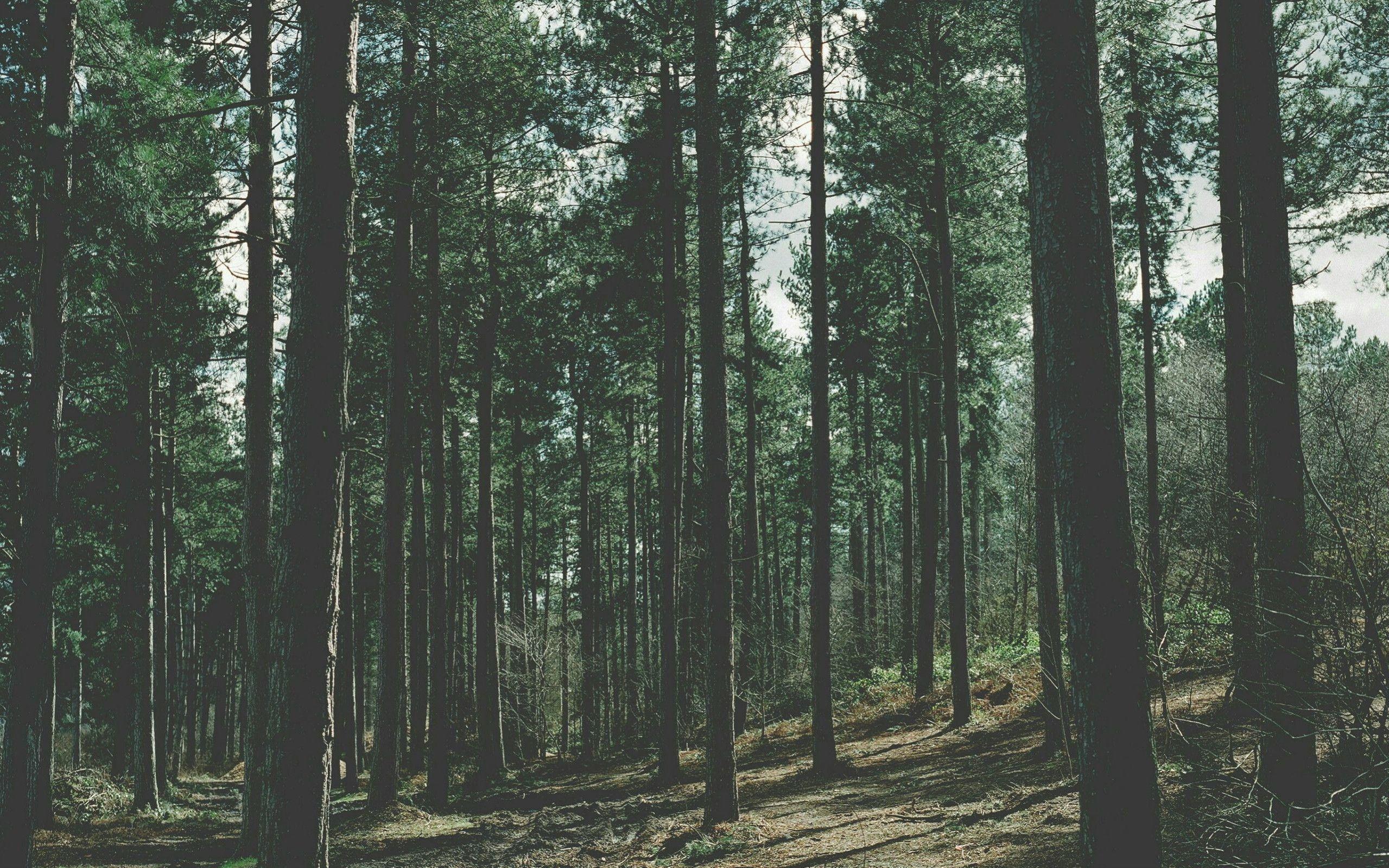 Ethical and Sustainable – How We’re Striving to be Both