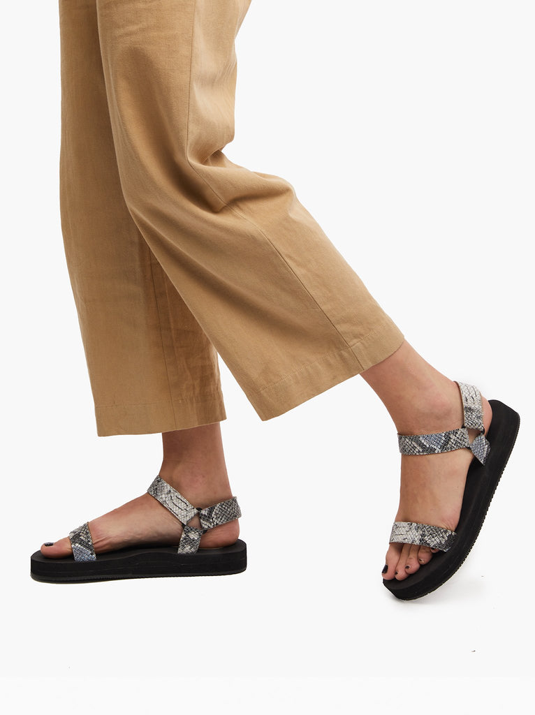 Lifestyle - Stone Snake