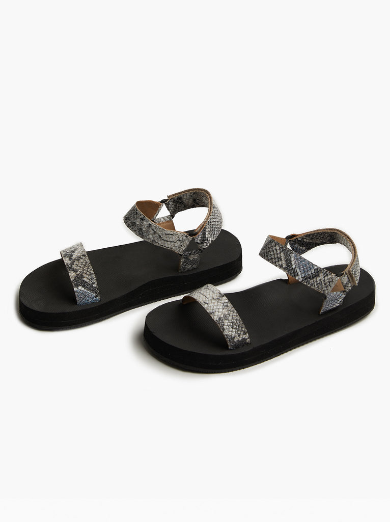 Lifestyle - Stone Snake